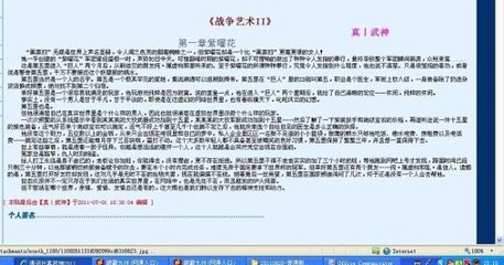 猫咪永久网站入